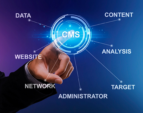 CMS Development